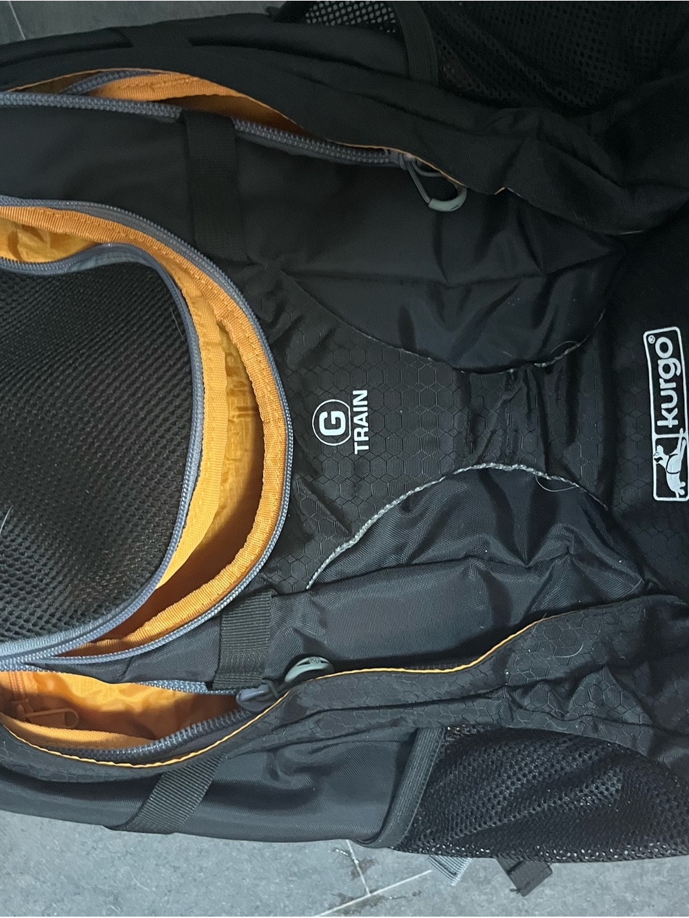 kurgo dog backpack